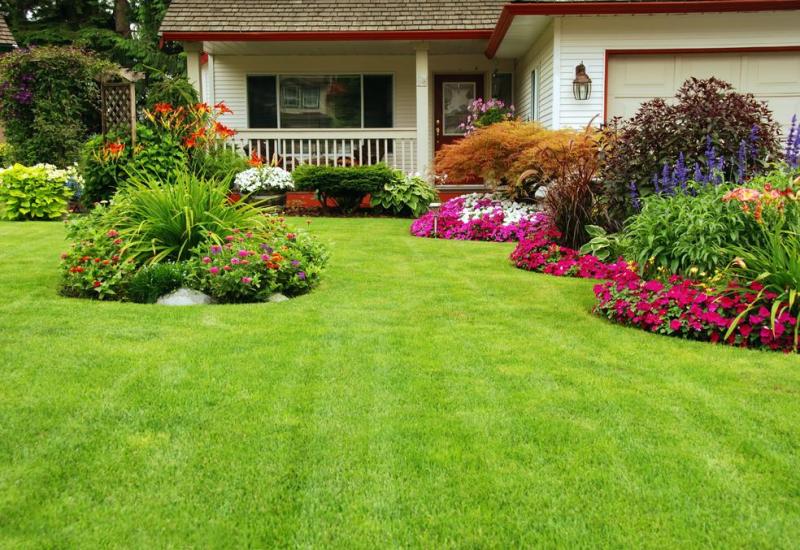 Cr&eacute;ation d'un jardin, par o&ugrave; commencer pour r&eacute;ussir ?
