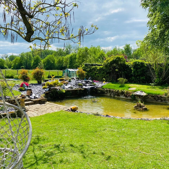 Jardin paysager avec bassin ornemental en pierre naturelle, cascade rocaille en ardoise, îlot végétalisé engazonné