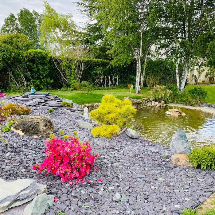 Jardin zen aménagé avec mare naturelle aux berges rocailleuses, entourée de végétation luxuriante