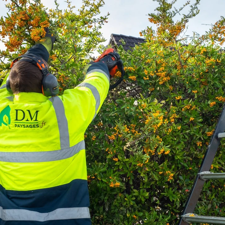 Élagueur professionnel travaillant en hauteur dans un grand arbre, équipé d'un harnais de sécurité de couleur visible, effectuant des opérations de taille et d'élagage avec les techniques et matériels appropriés (cordes, sangles, équipement de protection individuelle). L'intervention se déroule en milieu urbain ou résidentiel, illustrant le professionnalisme, la sécurité et la maîtrise technique. L'image doit montrer clairement l'expertise, la concentration et le sérieux du travail d'élagueur qualifié.