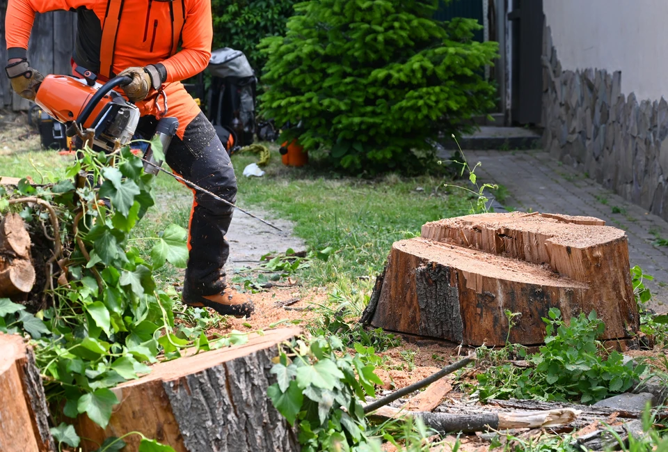 Scène extérieure hivernale avec personne en gants verts tenant un piolet à manche jaune et lame noire contre un ciel nuageux