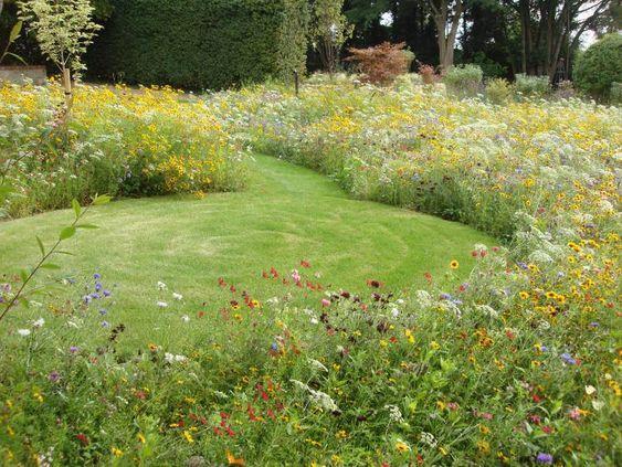 Le retour du jardin naturel et sauvage maîtrisé