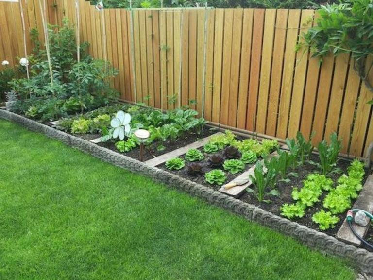 Installer un potager esthétique et fonctionnel : guide complet