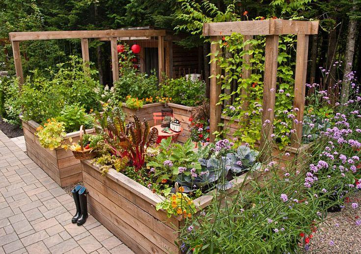 Créer un potager urbain : astuces pour débuter