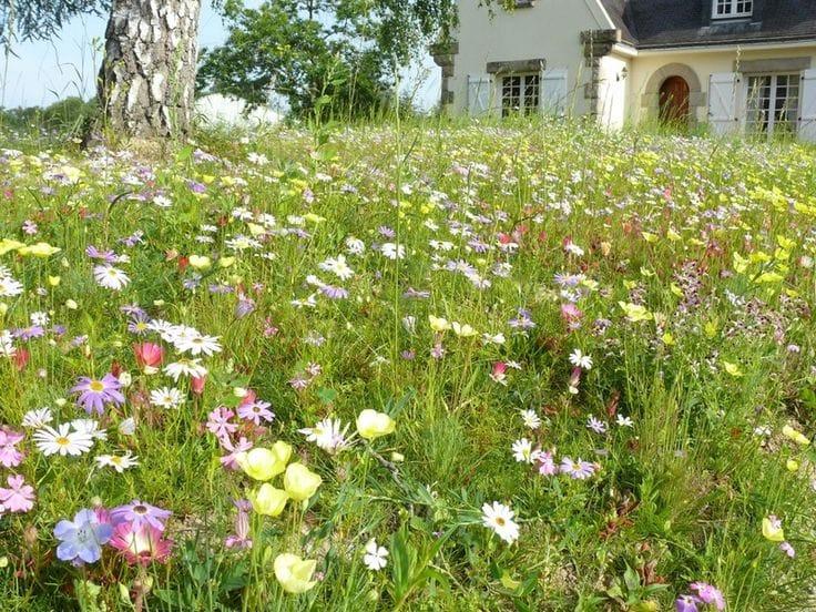 Comment créer un jardin écologique : guide pour jardiner autrement