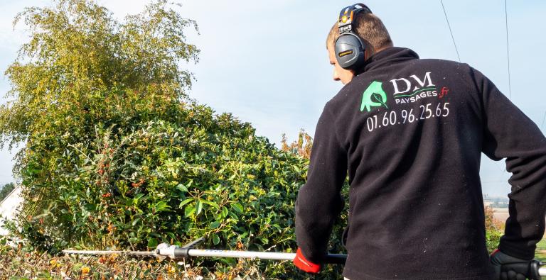 Comment DM PAYSAGES ET ASSOCIES Mets en Valeur Votre Jardin à Marolles-sur-Seine, Montereau-Fault-Yonne et Varennes-sur-Seine