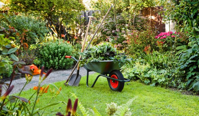 5 Conseils pour un Jardin Éclatant à Marolles-sur-Seine, Montereau-Fault-Yonne et Varennes-sur-Seine